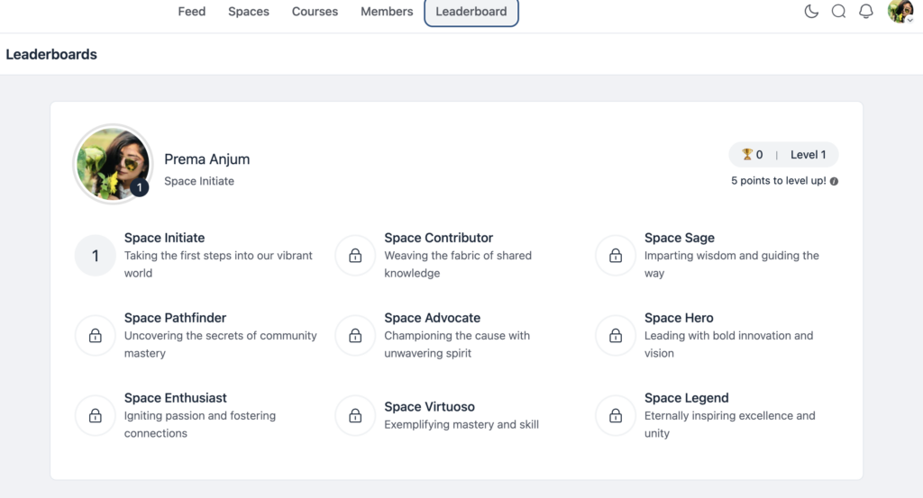 LeaderBoard, WordPress