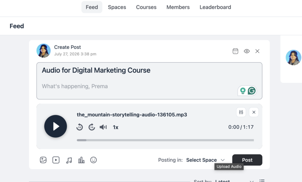 WordPress LMS audio lessons